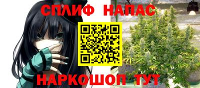 гашик Свободный