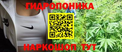 прущие грибы Северобайкальск