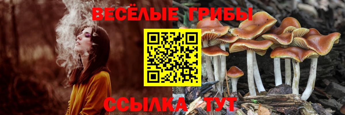 Псилоцибиновые грибы GOLDEN TEACHER  Вход с VPN  Осинники 